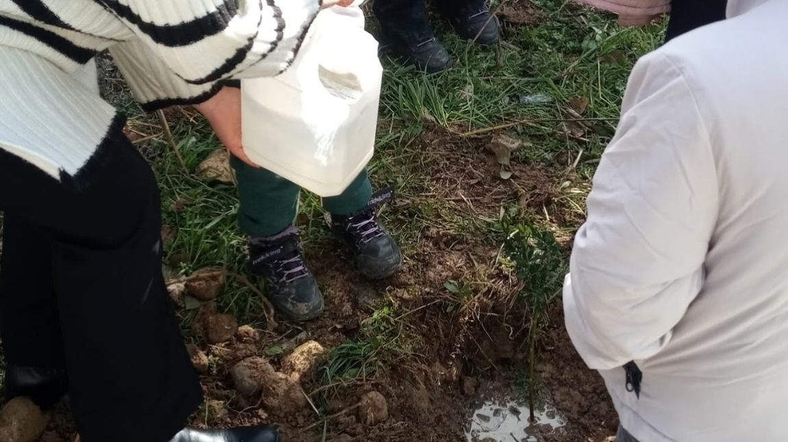 BİR FİDANA CAN VER